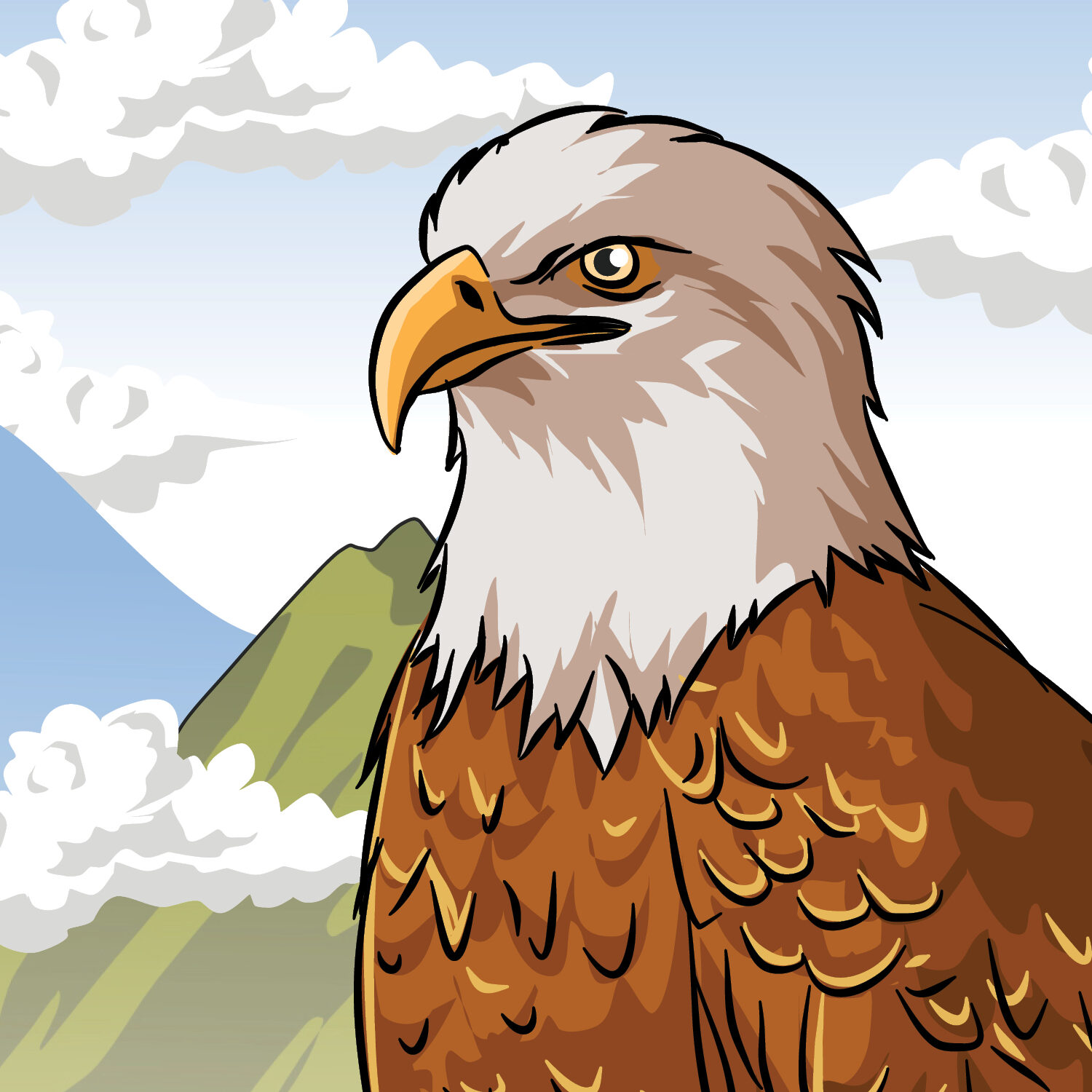 Bald eagle illustration (1)20